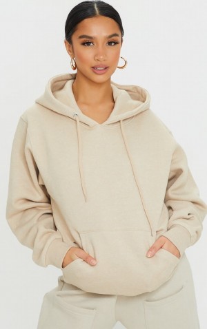 Brown Pretty Little Thing Petite Sand Oversized Ultimate Hoodie | NRDIAWV-46