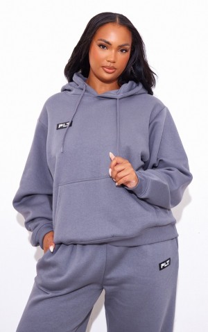 Grey Pretty Little Thing Plus Charcoal Logo Badge Detail Oversized Hoodie | ECZMRVH-24