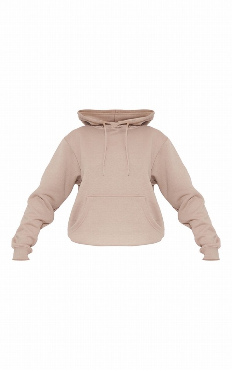 Beige Pretty Little Thing Mocha Est 2012 Oversized Hoodie | FELKOVG-28