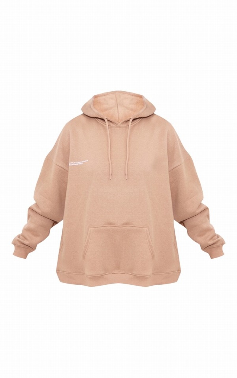 Beige Pretty Little Thing Plus Mocha Est 2012 Oversized Hoodie | TWBDFAH-07