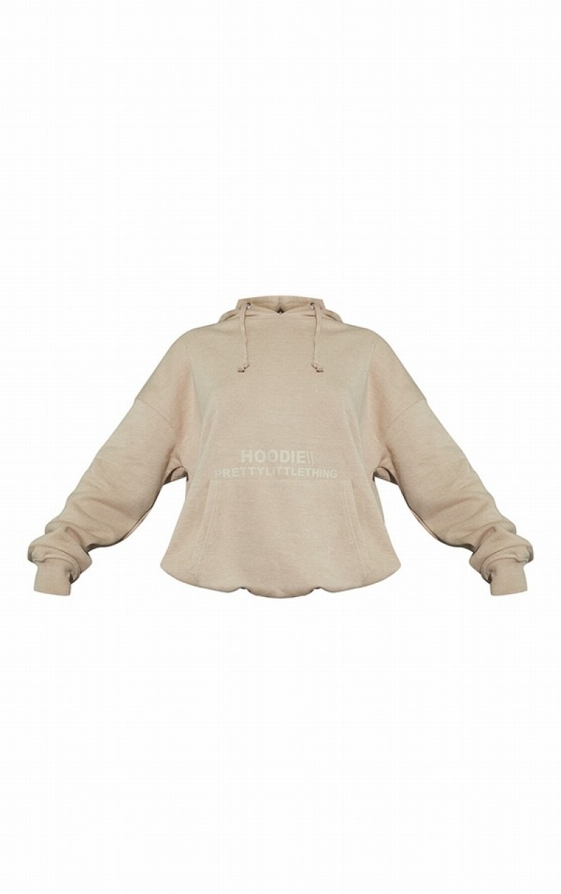 Beige Pretty Little Thing RENEW Oatmeal Oversized Basic Hoodie | GLQPFJD-30