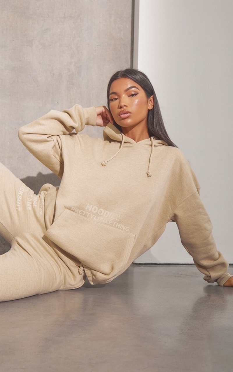 Beige Pretty Little Thing RENEW Oatmeal Oversized Basic Hoodie | GLQPFJD-30