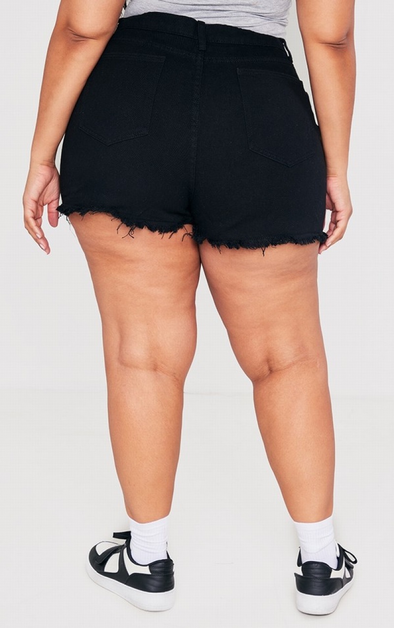 Black Pretty Little Thing Plus Shelby High Waisted Black Shorts | BRZUDSA-93