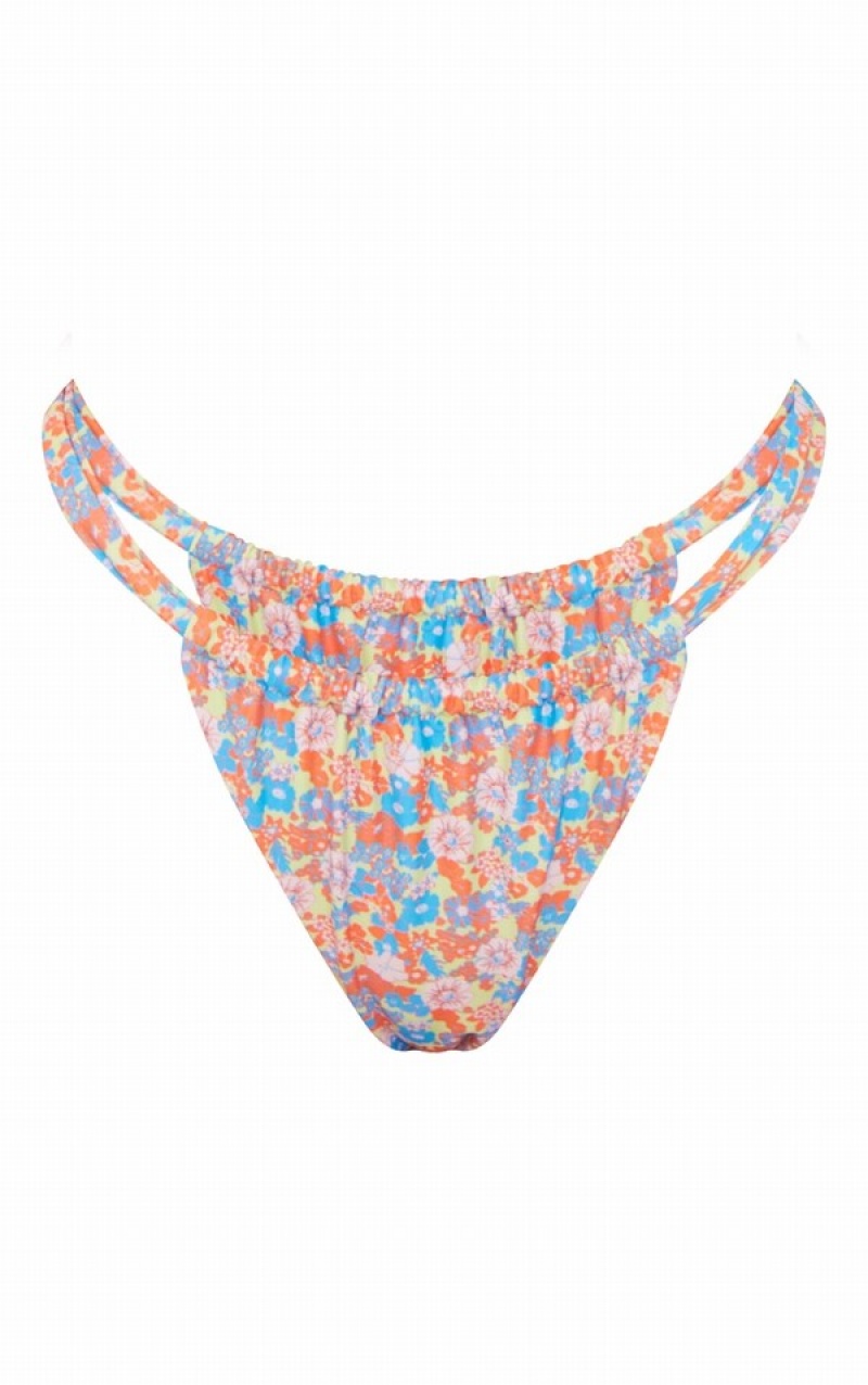 Blue Pretty Little Thing Ditsy Floral Print Wide Tanga Bikini Bottoms | TOCYIFS-93