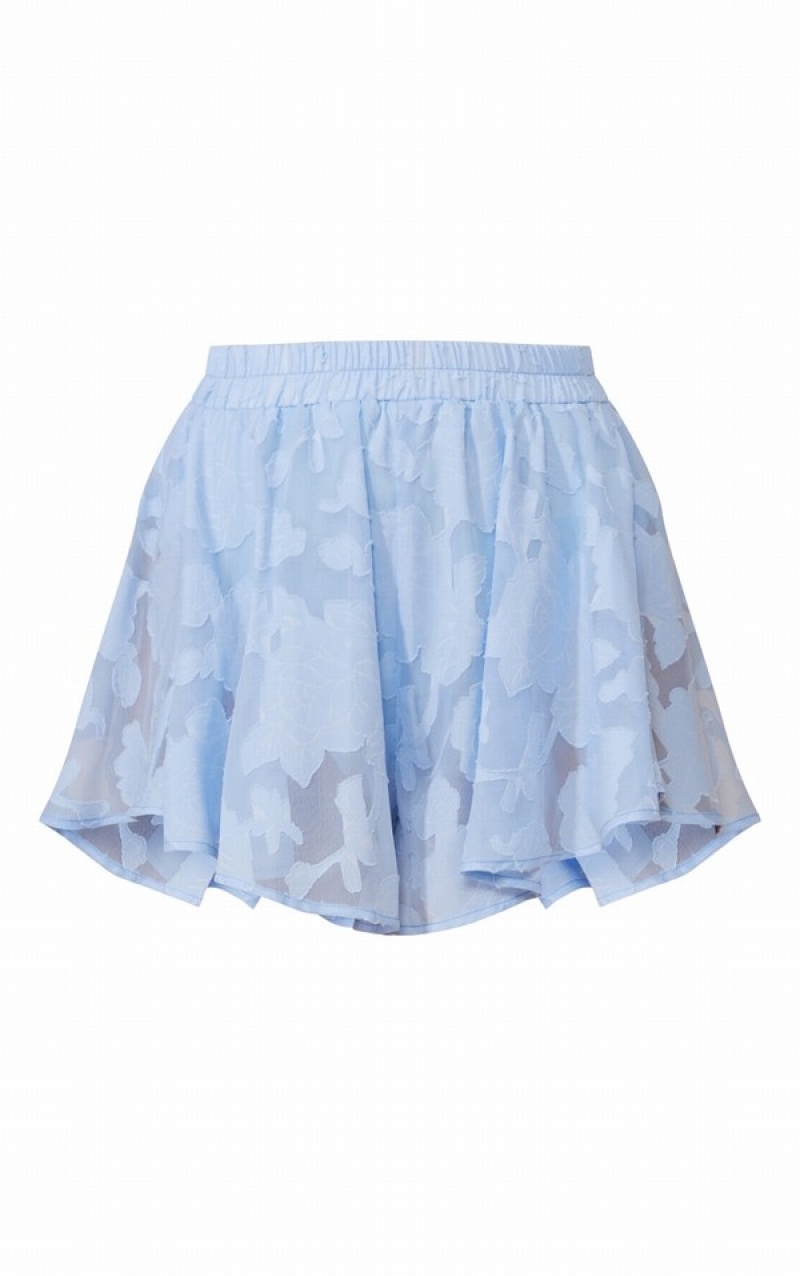 Blue Pretty Little Thing Pale Sheer Floral TextuFloaty Shorts | TSOQXUA-98