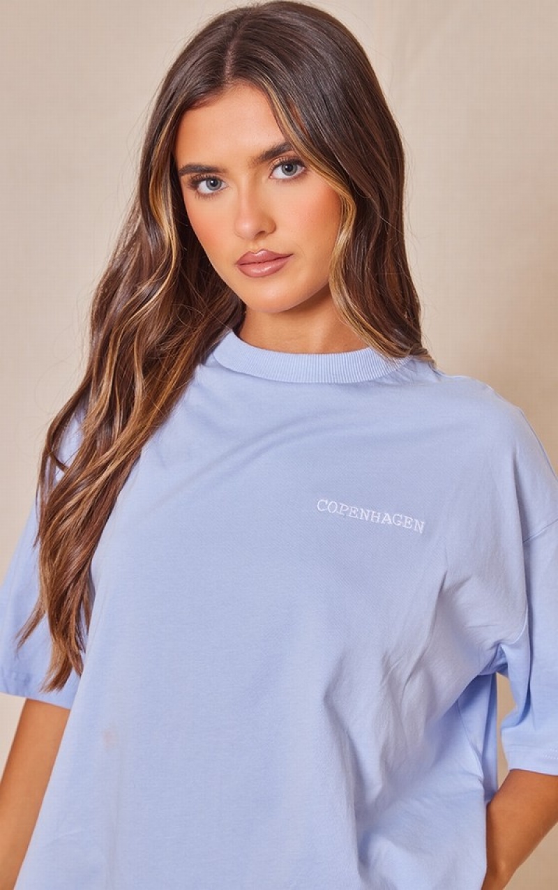 Blue / Grey Pretty Little Thing Copenhagen Embroidered T-shirts | ZWEOTYG-12