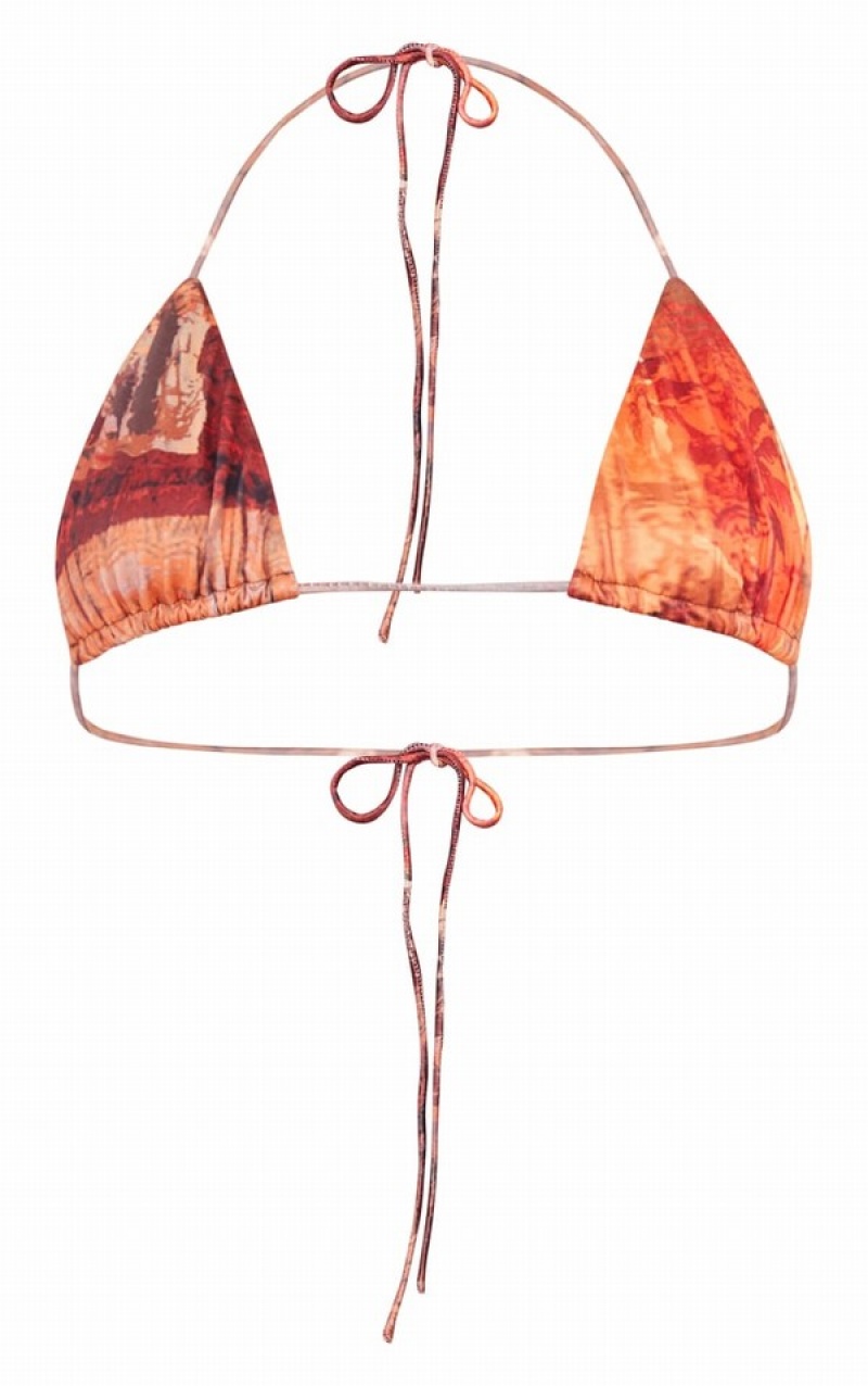 Brown Pretty Little Thing Abstract Printed Triangle Bikini Tops | KAMHFLV-45