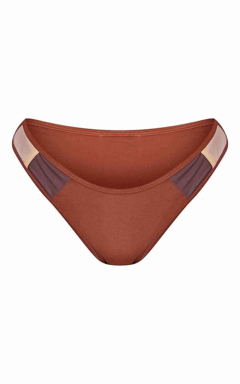 Brown Pretty Little Thing Contrastzilian Bikini Bottoms | HNTALXC-07