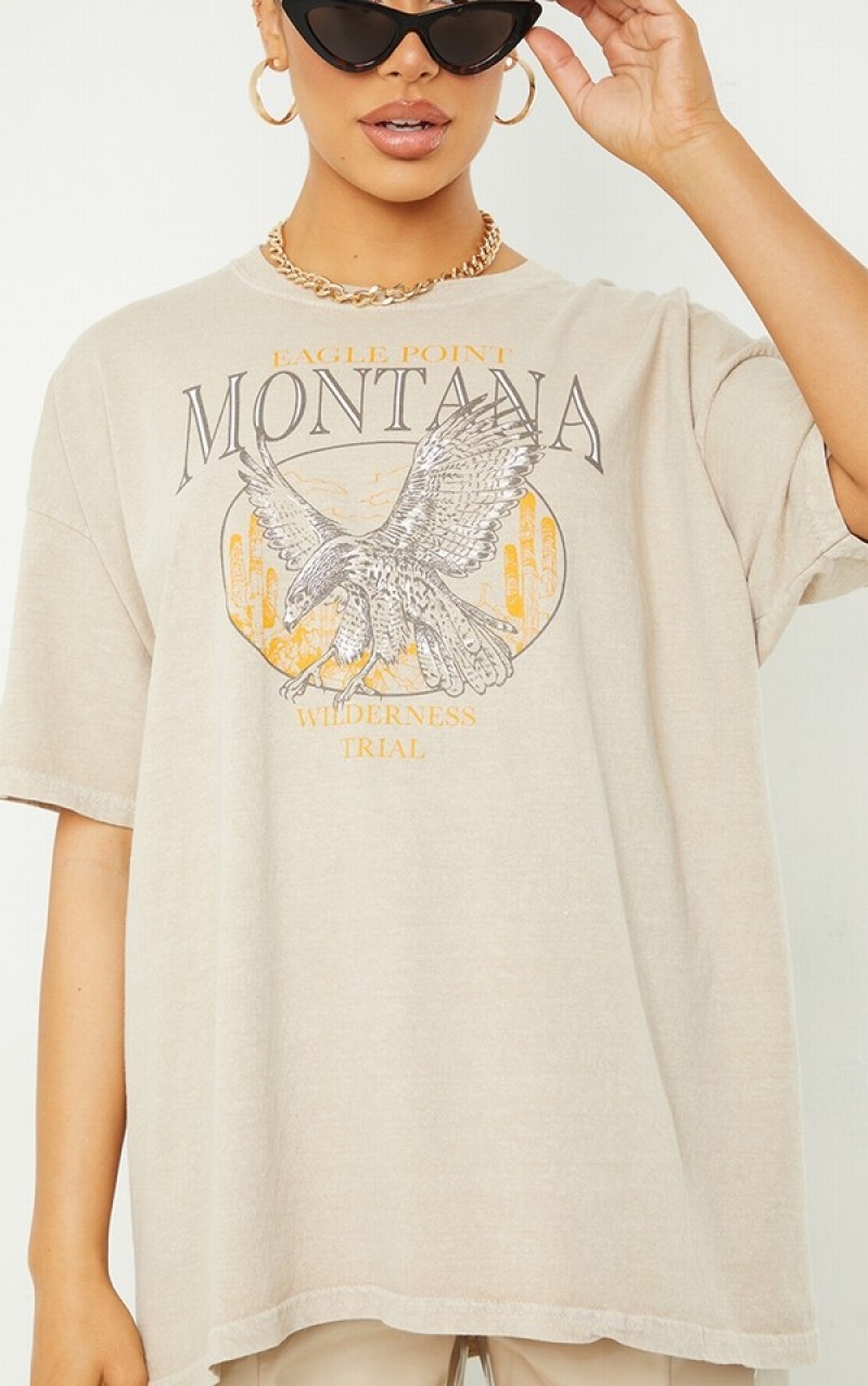 Brown Pretty Little Thing Sand Montana Logo Oversized Washed T-shirts | WUSROGP-21