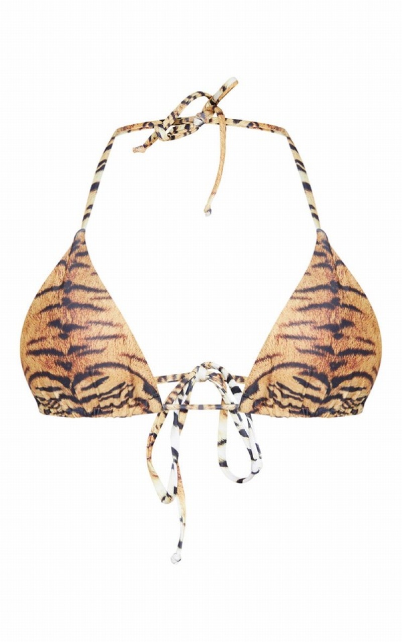 Brown Pretty Little Thing Tiger Adjustable String Tie Padded Triangle Bikini Bottoms | BYGURON-80