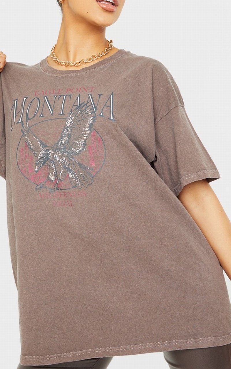 Chocolate Pretty Little Thing Montana Logo Oversized Washed T-shirts | YIZDQPE-53