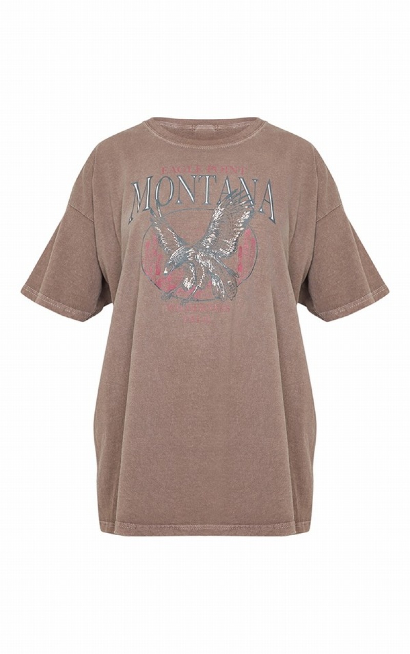 Chocolate Pretty Little Thing Montana Logo Oversized Washed T-shirts | YIZDQPE-53