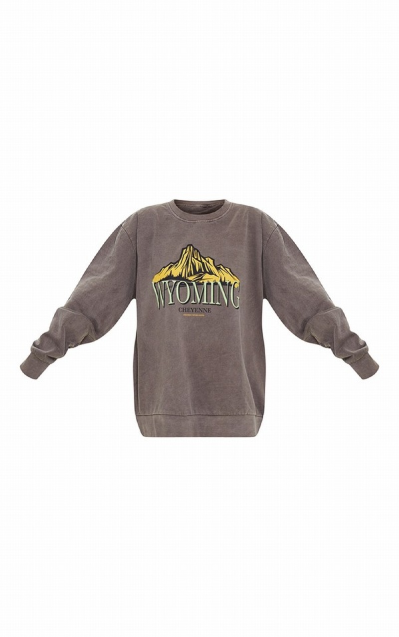 Chocolate Pretty Little Thing Wyoming Graphic Printed Washed Sweatshirts | AKCIVTS-04