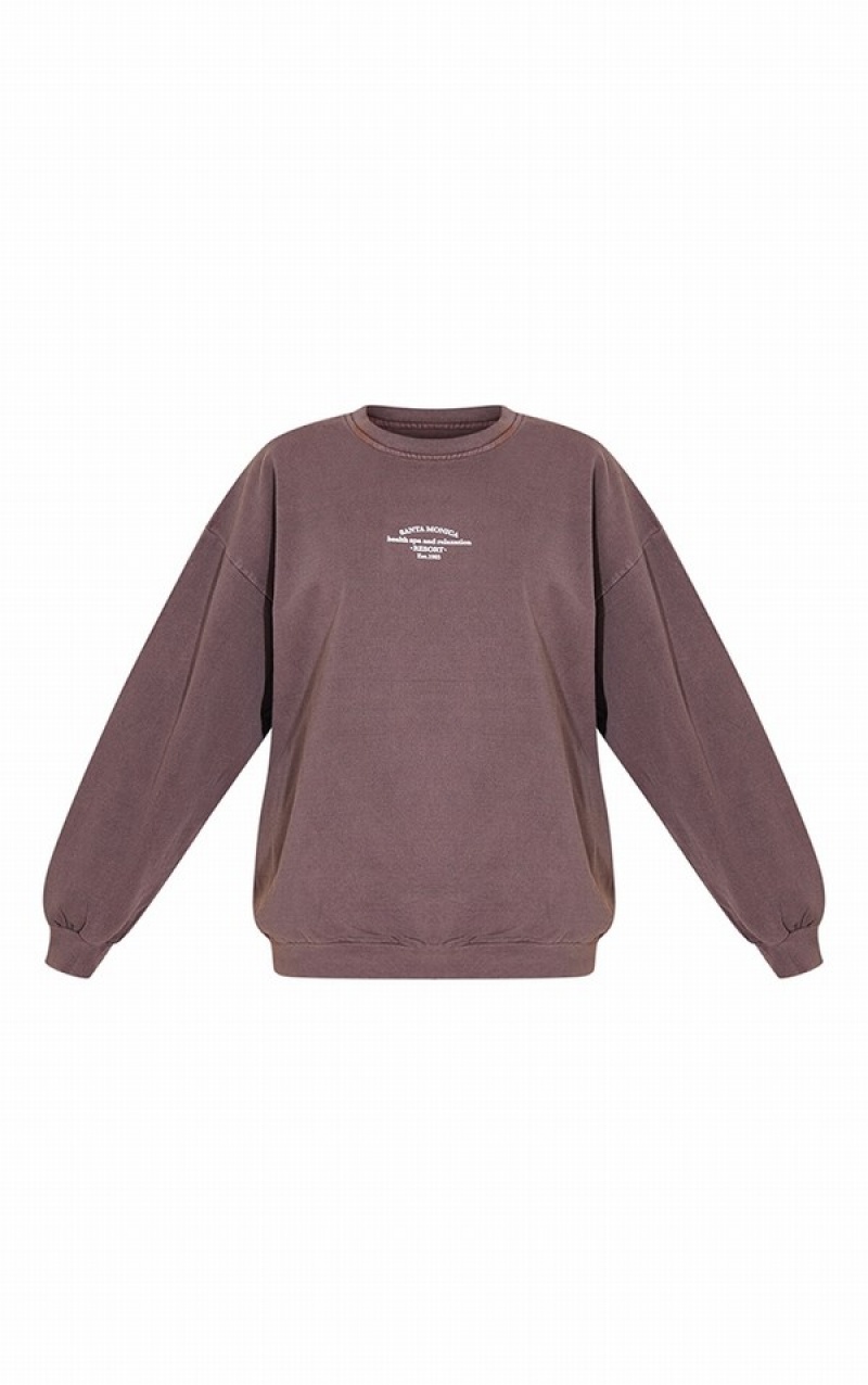 Dark Brown Pretty Little Thing Santa Monica Washed EmbroideOversized Sweatshirts | GRYTXEF-47