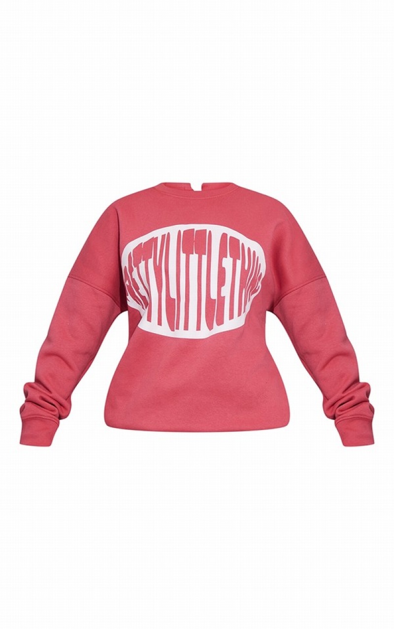 Dark Rose Pretty Little Thing Oversized Printed Sweatshirts | PDJFIRW-56