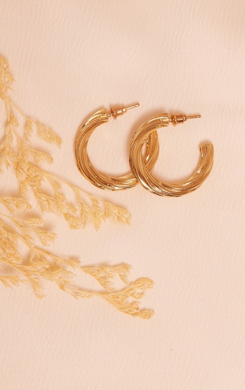 Gold Pretty Little Thing Real Plated Twist Hoop Jewelry | CHZBXYG-41