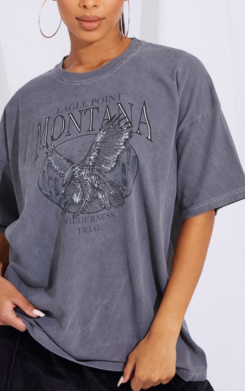 Grey Pretty Little Thing Charcoal Montana Logo Oversized Washed T-shirts | LTFZXEC-74