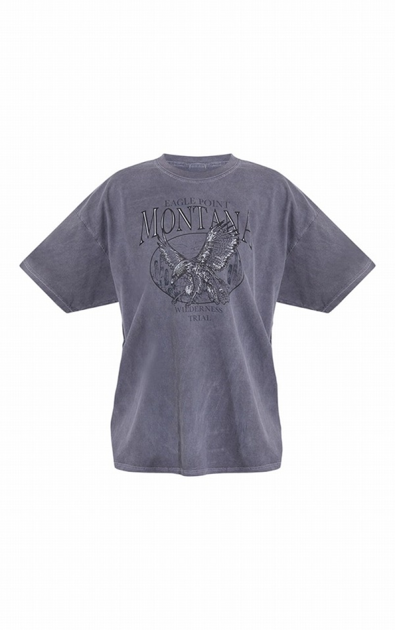 Grey Pretty Little Thing Charcoal Montana Logo Oversized Washed T-shirts | LTFZXEC-74