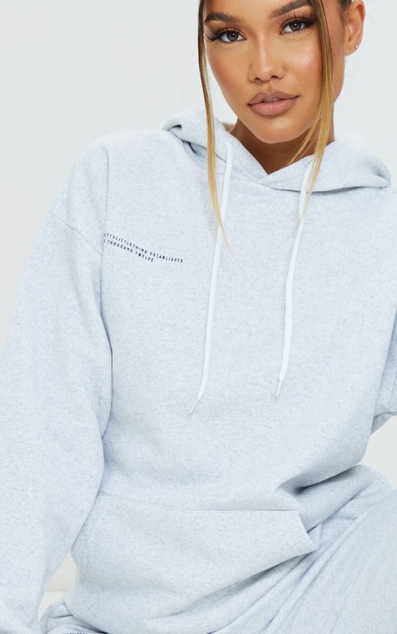 Grey Pretty Little Thing Logo Ash Est 2012 Oversized Fit Hoodie | CUEPROA-34