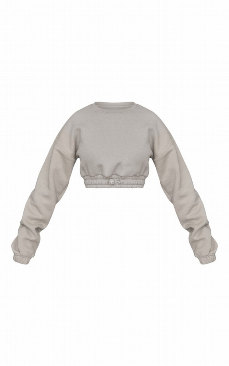 Grey Pretty Little Thing Petite Moss Cropped Elasticated Sweatshirts | ONKDRBW-95