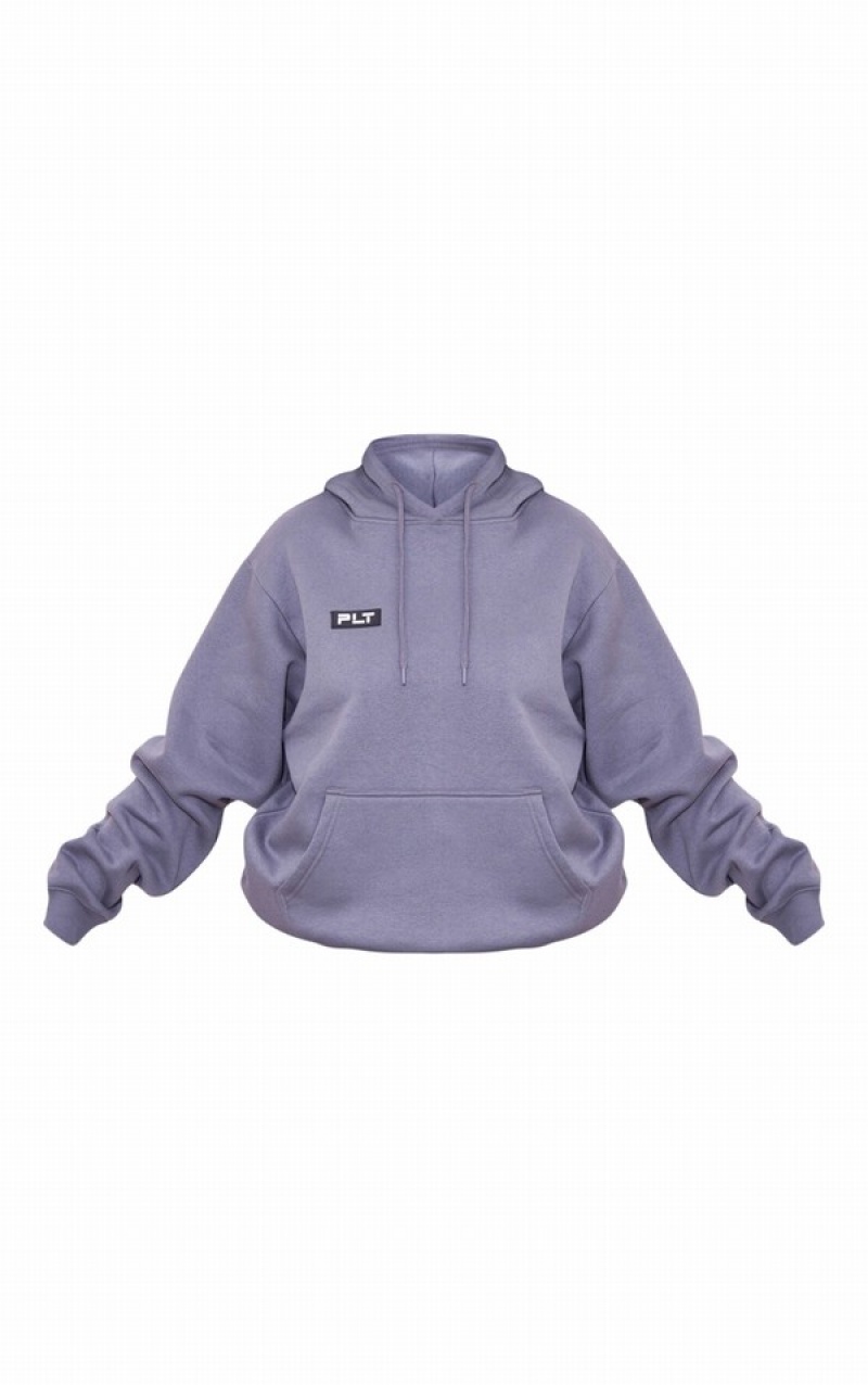 Grey Pretty Little Thing Plus Charcoal Logo Badge Detail Oversized Hoodie | ECZMRVH-24