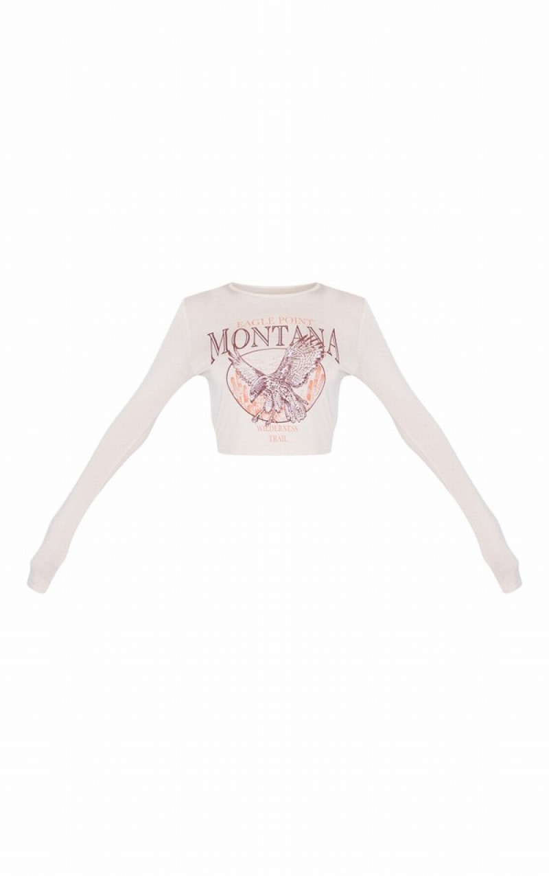 Grey Pretty Little Thing Stone Montana Printed Long Sleeve Crop T-shirts | GTEVBRI-83