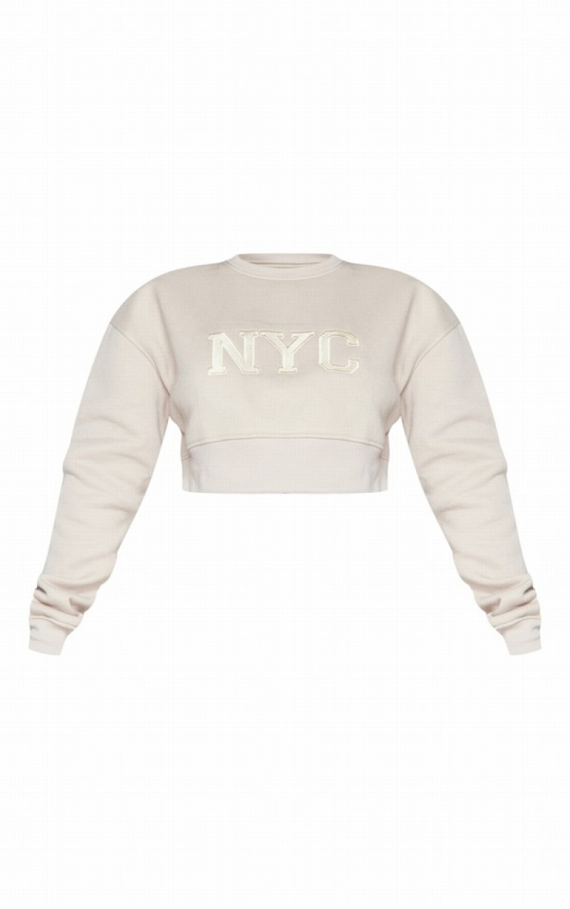 Grey / Brown Pretty Little Thing Petite Taupe NYC Cropped Sweatshirts | NGDUQYC-21