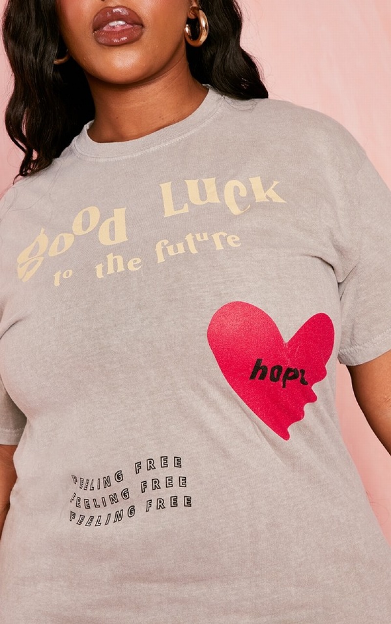 Grey / Brown Pretty Little Thing Plus Taupe Good Luck Heart Print Washed T-shirts | PKBMJRG-97