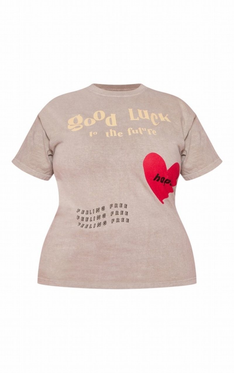 Grey / Brown Pretty Little Thing Plus Taupe Good Luck Heart Print Washed T-shirts | PKBMJRG-97