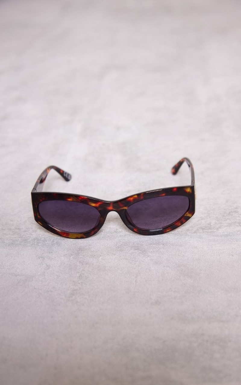 Leopard Pretty Little Thing Tortoiseshell Oval Thick Frame Cat Eye Sunglasses | JUYVRFP-10