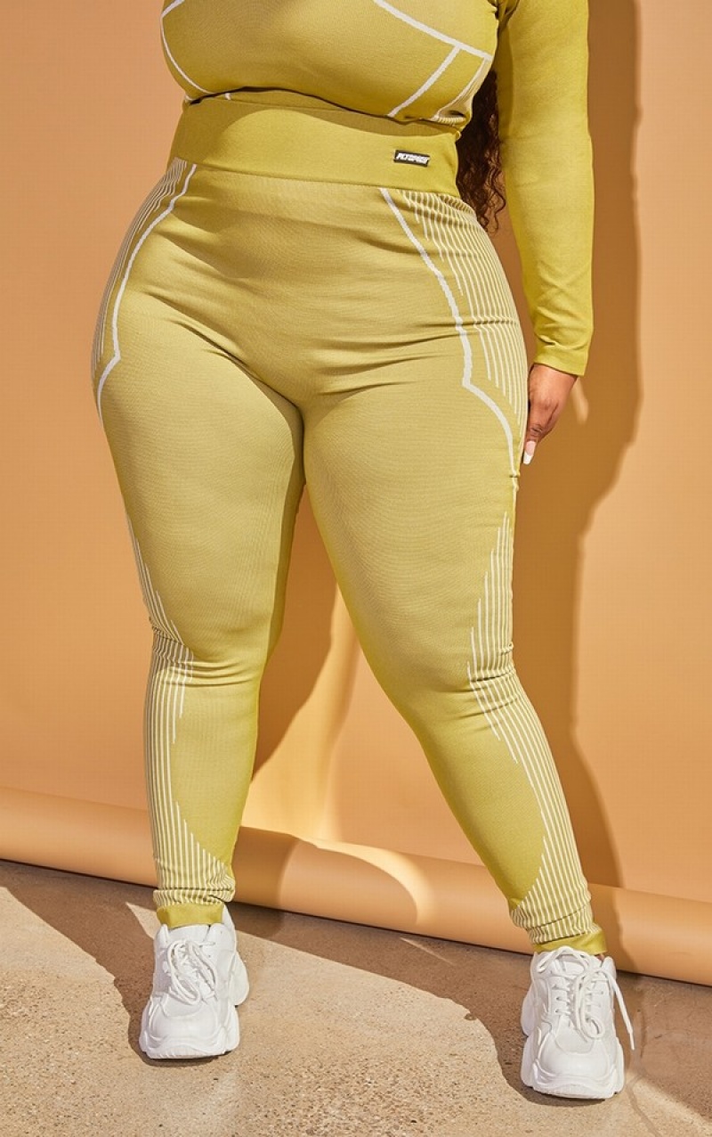 Olive Pretty Little Thing Plus Seamless Detail Leggings | BSADUIG-90