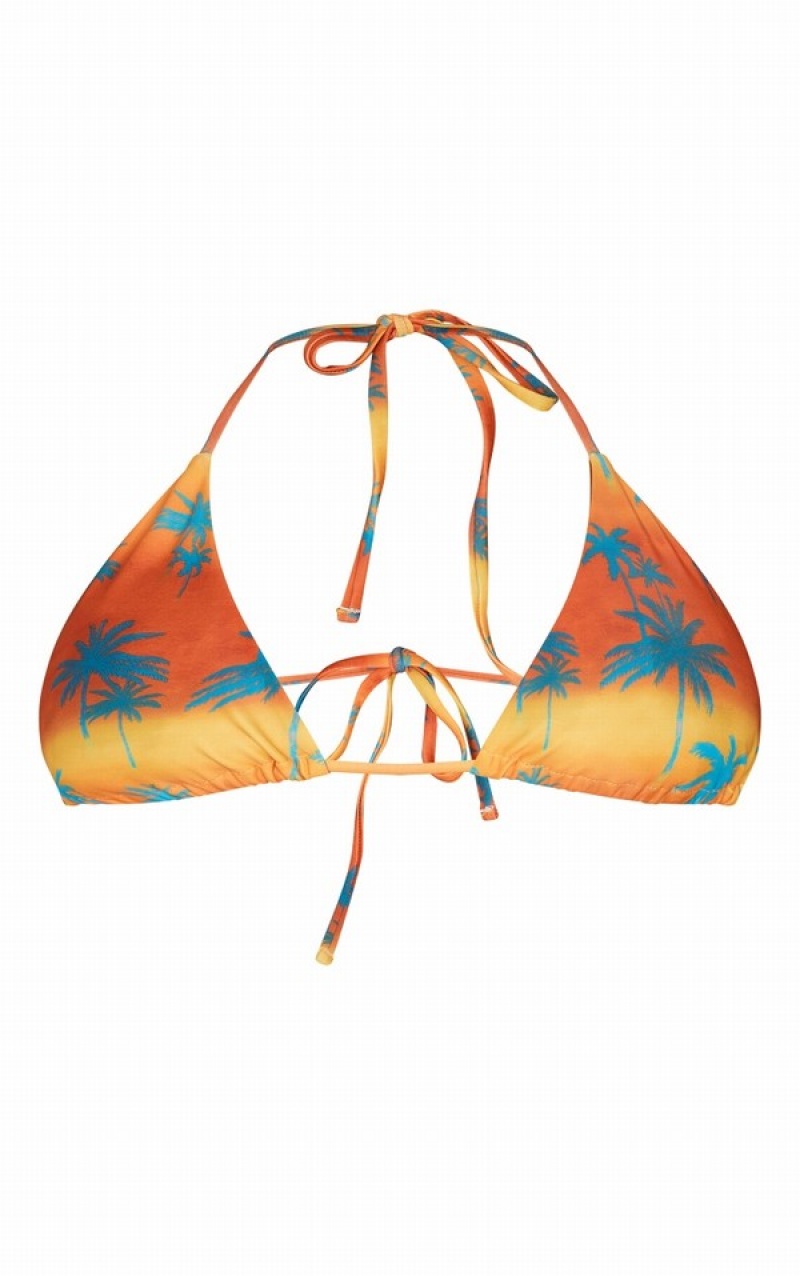 Orange Pretty Little Thing Ombre Palm Tree Print Padded Triangle Bikini Tops | SQIHTNJ-27