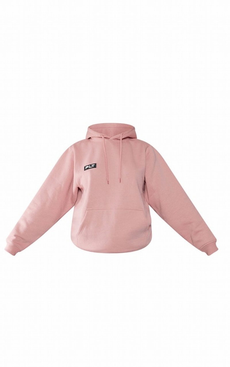 Pink Pretty Little Thing Pale Logo Badge Detail Oversized Hoodie | XAHNZLR-01