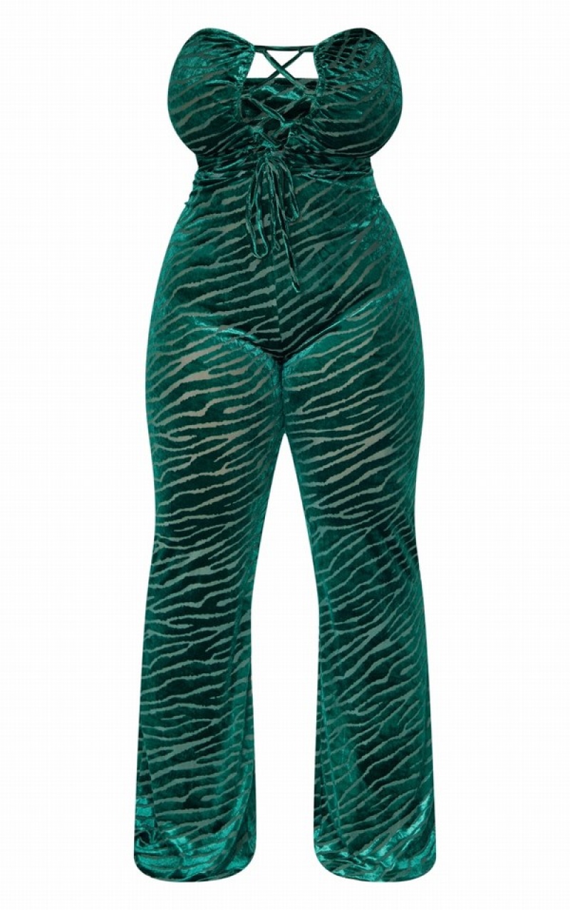 Turquoise / Green Pretty Little Thing Plus Emerald Zebra Devore Lace Up Jumpsuits | TISQKXJ-58