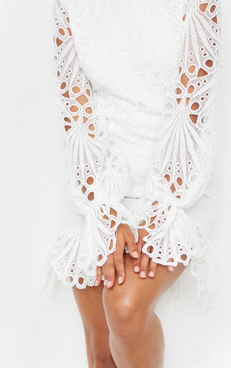 White Pretty Little Thing High Neck Lace Long Sleeve Frill Bodycon Dresses | XHQAGLC-12