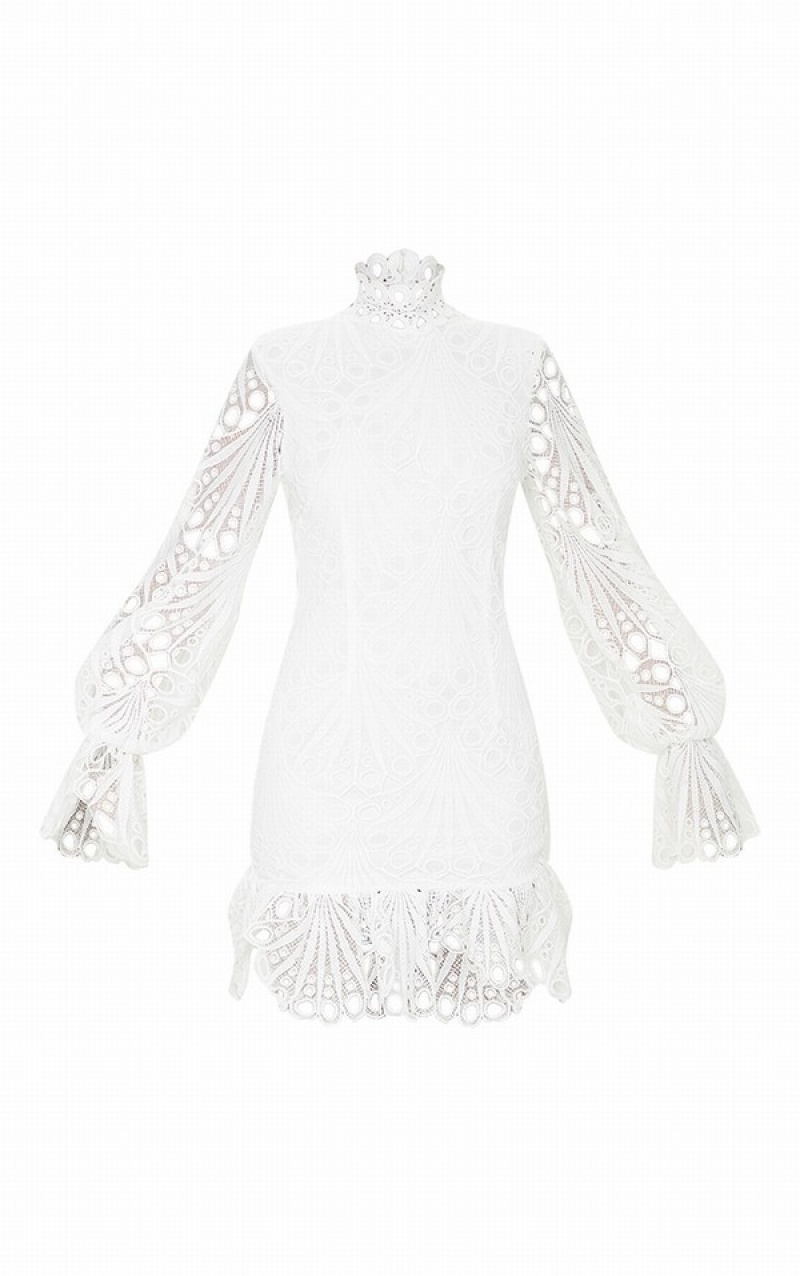 White Pretty Little Thing High Neck Lace Long Sleeve Frill Bodycon Dresses | XHQAGLC-12