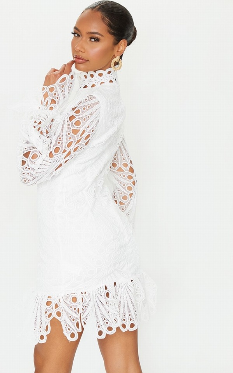 White Pretty Little Thing High Neck Lace Long Sleeve Frill Bodycon Dresses | XHQAGLC-12